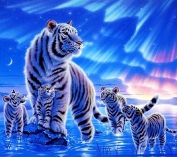 White Phone Wallpaper Beautiful Nature Scenes With Animals