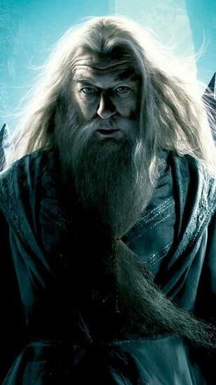 Harry Potter Dumbledore Lg G3 Wallpaper