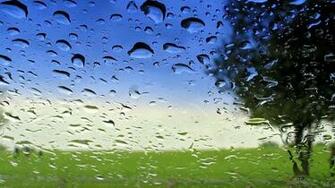 Nature Rain Wallpaper