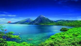 Wallpaper Of Natures Organic Plants Widescreen