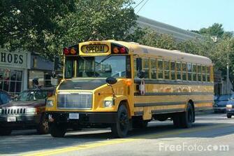 Yellow School Bus Pictures Use Image By Foto