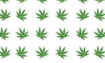 Bigger Marijuana Rotating Wallpaper For Android Screenshot