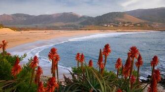 Beach California Wallpaper
