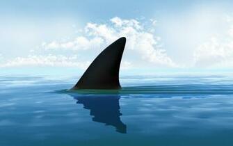 Digital Art Cgi Minimalism Nature Water Sea Shark Clouds