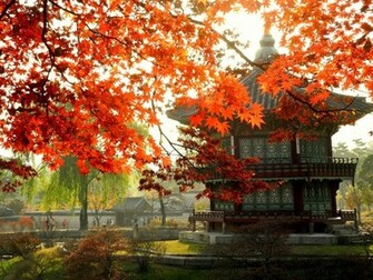 Adventures South Korea A Voyage To