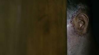 We Ve Sewn Together The First Image From Larry Fessenden S