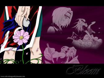 Sakura Haruno HD Wallpaper And Photos