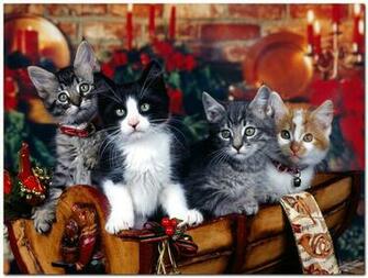 Christmas Animals Wallpaper Coloring
