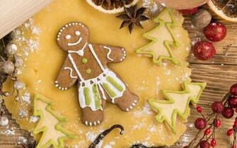 Khe Gingerbread Man HD Image Large