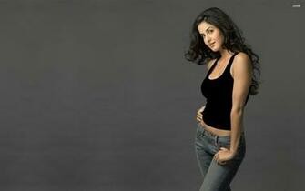 Amanda Crew HD Wallpaper For Desktop