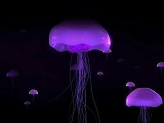 Incredible Cool Colorful Digital Art Wallpaper