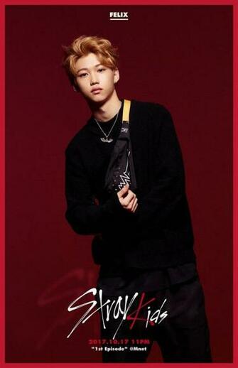 Stray Kids Introduce The Next Three Members Felix Hwang