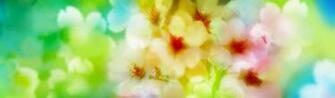 Pretty Summer Flower Background Beautiful Flowers