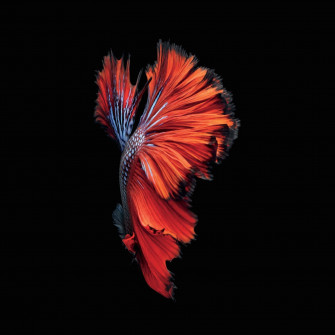 Mesmerizing HD Oled Background Wallpaper