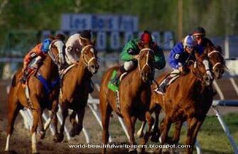 Beautiful Wallpaper Racing Horse