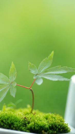 Background Samsung Galaxy S5 Wallpaper
