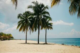 Cozumel 4k Wallpaper For Your Desktop Or Mobile Screen And