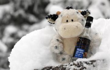 Wallpaper Winter White Snow Wine Toy Bottle Cow Christmas