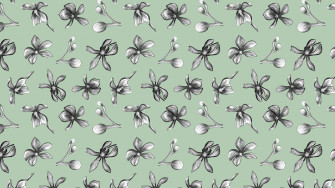 Details Sage Green Laptop Wallpaper Super Hot