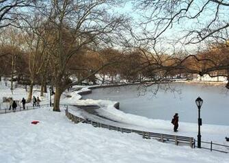 Pin Central Park Winter Night HD Wallpaper