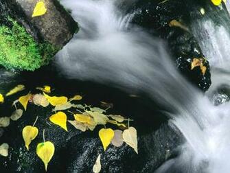 Rush Mammoth Mountain California Nature Wallpaper Featuring Rivers