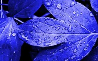 The Color Blue Is Used To Represent Sadness And Depression