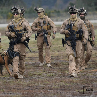 French Commando De Montfort At Sofins Wallpaper