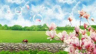 HD Beautiful Wallpaper Background For