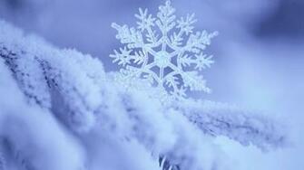 Snowflake Wallpaper