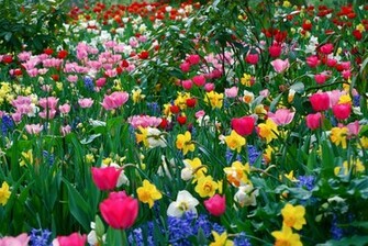 Lastest Full HD Nature In Wallpaper Top New
