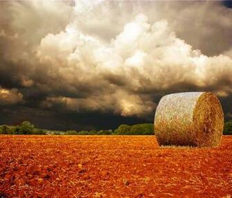 Harvest Wallpaper Screensaver Pre Id