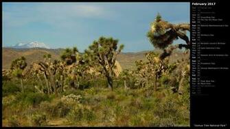 Mlewallpaper Joshua Tree National Park Calendar