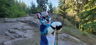 Morrowuff S Tweet Majestic Ok The Background Is Pretty Too