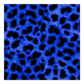 Bright Royal Blue Black Animal Print Pattern Digit