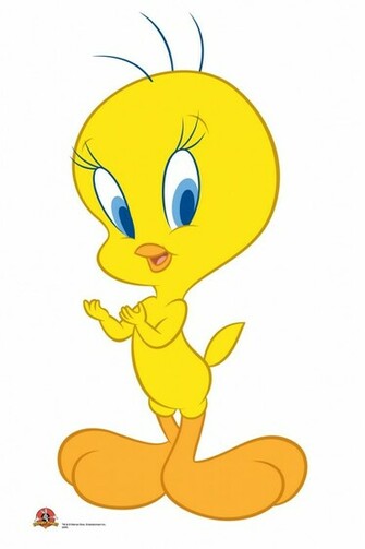 Tweety Info Wallpaper