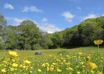 English Countryside