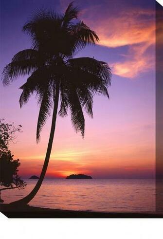 Sunset Beach Outdoor S Art Sunrise