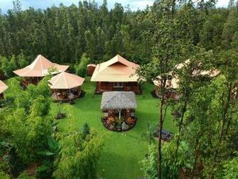 Bed And Breakfast Volcano Mountain Retreat Fern Acres Hi