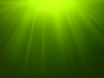 Green Wallpaper