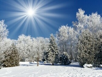 Wallpaper Christmas Landscape Scene Winter Html