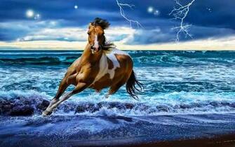 Horse Computer Background S Wallpaper