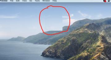 This Dynamic Default Catalina Wallpaper Is Corrupt On My Work