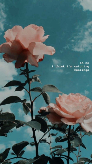 Vintage Peach Roses Aesthetic Wallpaper