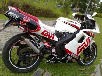 Yamaha Tzm Picture