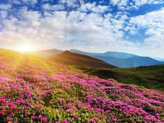 Samsung Azalea Background Sunsets Windows Desktop Image