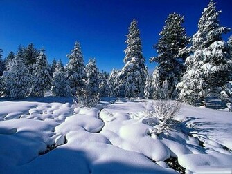 Winter Desktop Background Background