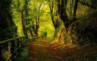 Autumn HD Wallpaper Theme Bin Customization