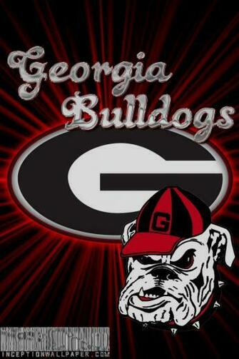 Georgiadogs Georgia Official Athletic Site HD Wallpaper