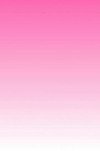 Pink Ombre Wal