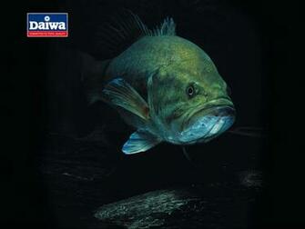Bass Fishing Wallpaper iPhone For Gt Fish